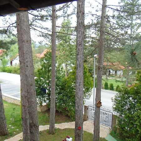 Villa Ruza Apartments Zlatibor Exterior photo